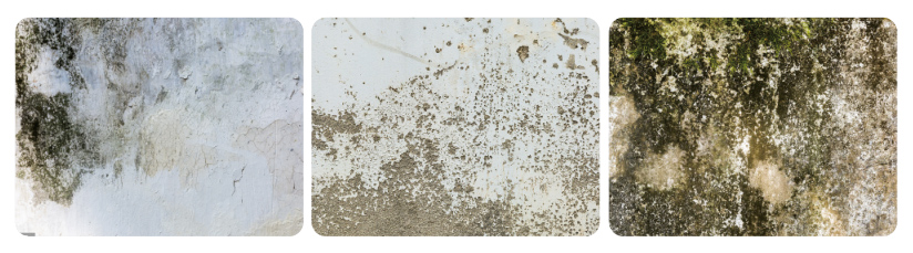 d6dac7ba2680d7b34b6ebe53f0abf208.jpg 未標(biāo)題-1.jpg